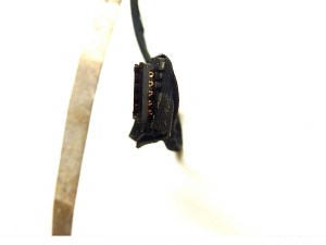 Шлейф WEB камеры AX6 CAMERA CABLE DD0AX6CM001 для ноутбука HP G56 G62 CQ56